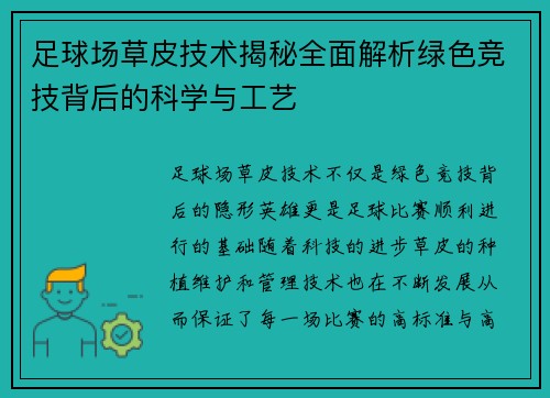 足球场草皮技术揭秘全面解析绿色竞技背后的科学与工艺 足球场草皮技术揭秘全面解析绿色竞技背后的科学与工艺